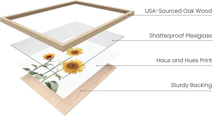 HAUS AND HUES Sunflower Set Collage 16x20 - Framed Beige