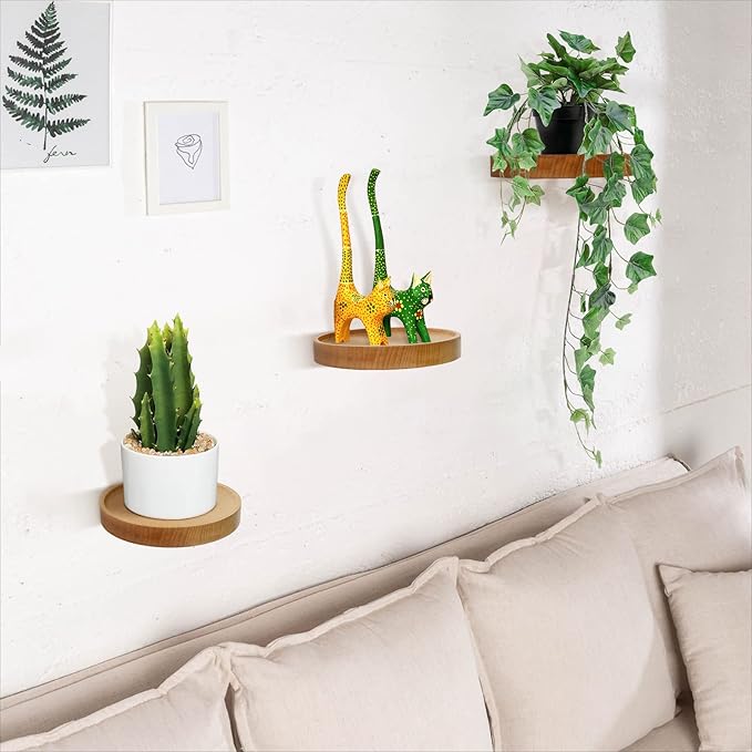 AceList 3-Pack Round Floating Shelves for Wall Decor, 6'' Diameter Beech Wood Floating Shelf, Cup Plant Wall Shelves for Bedroom, Bedroom, Living Room, Bathroom, Kitchen