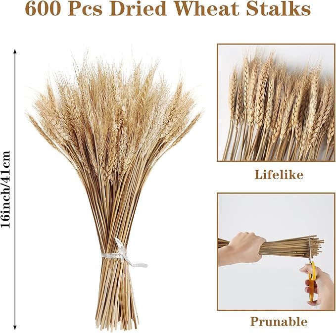 500 Pcs Dried Flower Dried Wheat Stalks Wheat Grass Decor Dried Flowers Arrangement for Home Table Wedding DIY Design Party Farmhouse Decor (16")