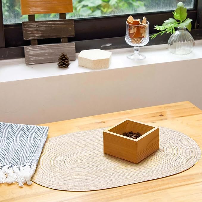 Noctiflorous Oval Braided Placemats Set of 4 Woven 12x18 Inch Non Slip Washable Heat Resistant Place Mats Round Tablemats for Dining Kitchen Party Daily Table Decor Dinner Mats (11 Beige, 4)