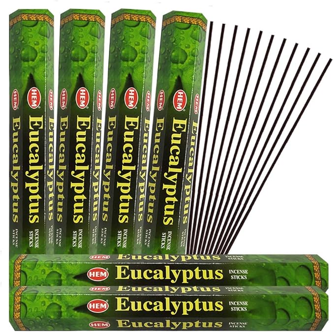 Eucalyptus Incense Sticks and Incense Stick Holder Bundle Insence Insense Hem Incense Sticks