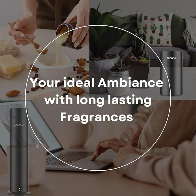 Hotel Diffuser Oil Inspired by Fairmont Hotel - 50 mL 1.69 fl oz -Essential Oil Blend Rose, Oud Wood & Clove Notes for Aromatherapy Diffusers Date Night, Romance Night Gift - Lost Rose