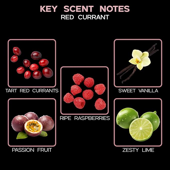 LOVSPA Red Currant Reed Diffuser and Scented Sticks Gift Set - Tart Red Currants, Vanilla, Lime & Raspberry Scent Notes - Diffuser for Large Rooms - Made in The USA