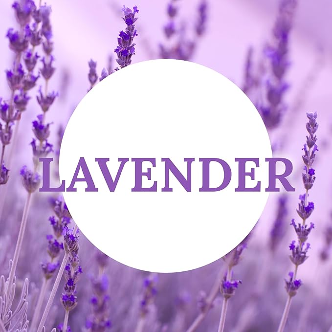 DEYBBY Natural Lavender Scented Soy Wax Tealight Candles Bulk, Aromatherapy Luxury Tea Candle Set of 24-4 Hour Burning Great Gift