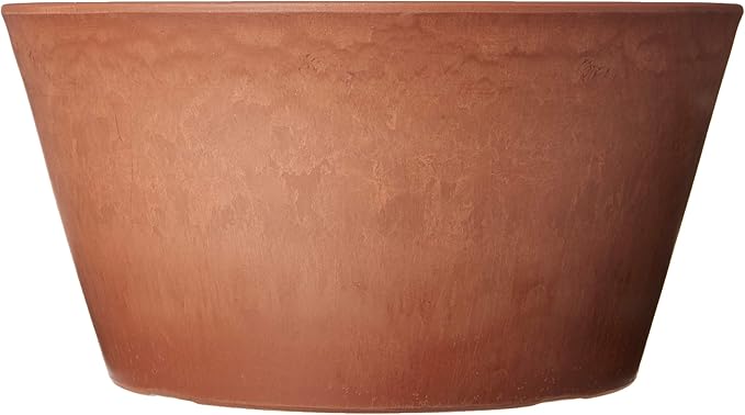 PSW Pot TD25TC Collection Shallow Bulb Pan Planter for Succulents, Bonsai, Fairy Gardens, Herbs, 10-inch, Terra Cotta Color