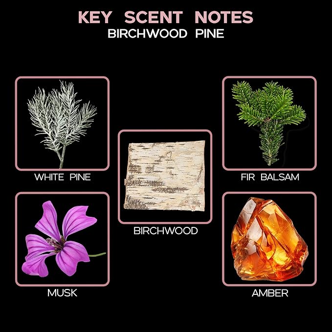 LOVSPA Birchwood Pine Essential Oil Reed Diffuser Gift Set | Balsam Fir, White Pine and Amber | Great Aromatherapy Gift for Mom, Dad, Grandma or Aunt