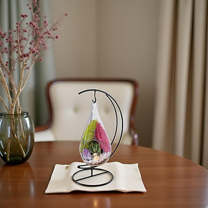 7" Teardrop Glass Succulent Terrarium Kit for Kids and Adults, Reindeer Moss, Crystal & Rocks, Tools, Figurine, Metal Hanger (Live Plant Included)