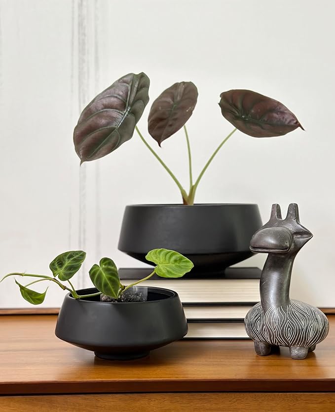 Admired by Nature Set of 6.5" & 9.5" Ceramic Flower Planters, Ceramic Pot Planter, Plant Pots Indoor Ceramic, Houseplant Ceramic Pot, Decorative Planter for Indoor Succulent Plant Home Décor, Black