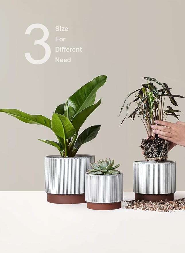 LE TAUCI Ceramic Pots for Plants, 8+6.7+5.5 Inch Plant Pots Indoor, Flower Pot with Drainage Holes, Medium Cylinder Planters for Indoor House Plants, Set of 3, Reactive Glaze White