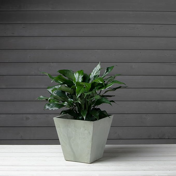ArtStone 35126 Ella Square Planter, 12-Inch, Mint