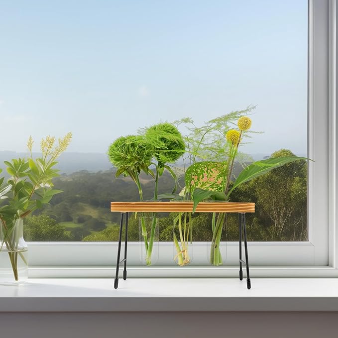 Plant Propagation Station, Glass Terrarium, Ideal for Cuttings and Flower Stems, Perfect Home & Office Decor, Great Gift for Plant Lovers