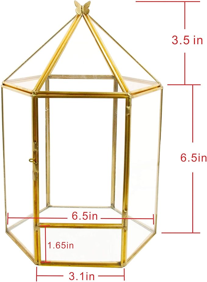 Glass Geometric Plant Terrarium,Succulent & Air Planter for Home Garden Office Decoration,No Plants(Gold Hexagonal)