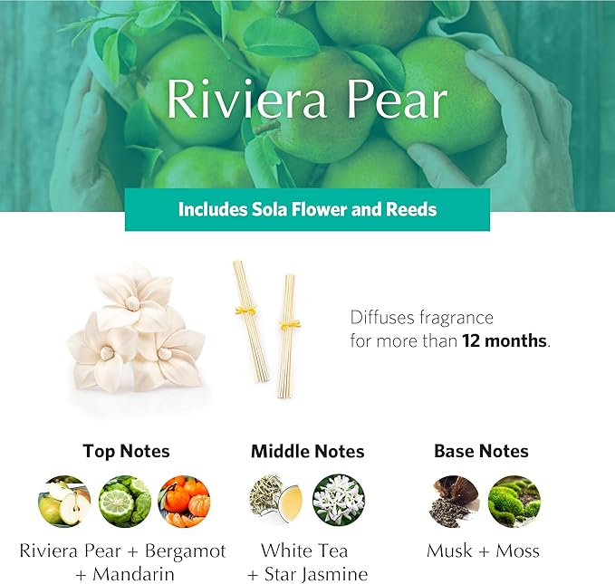 AGRARIA AirEssence Flower and Reed Diffuser Set, Hand Crafted Sola Flower Botanical Home Fragrance Diffuser, Scented Oil Reed Diffuser, Flower and Reed Diffuser Gift Set for All Occasions