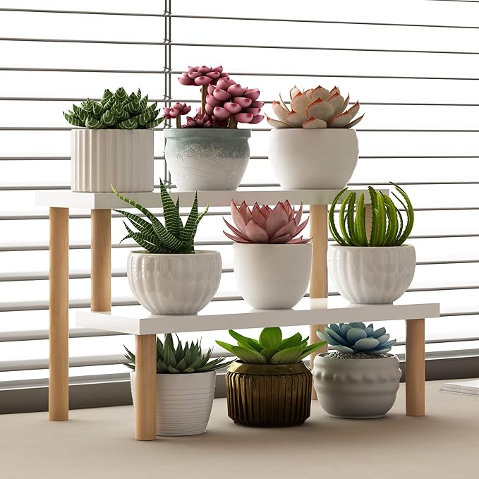 Small Plant Stand Indoor Ladder Shelf Desk, 2 Tiers Desktop Flower Stand Window Sill ,Wood Display Stand for Succulent Cupcake Spice Rack Countertop ( White, 14.2")