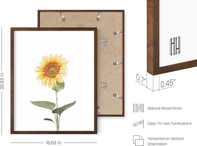 HAUS AND HUES Sunflower Set Collage 16x20 - Framed Walnut