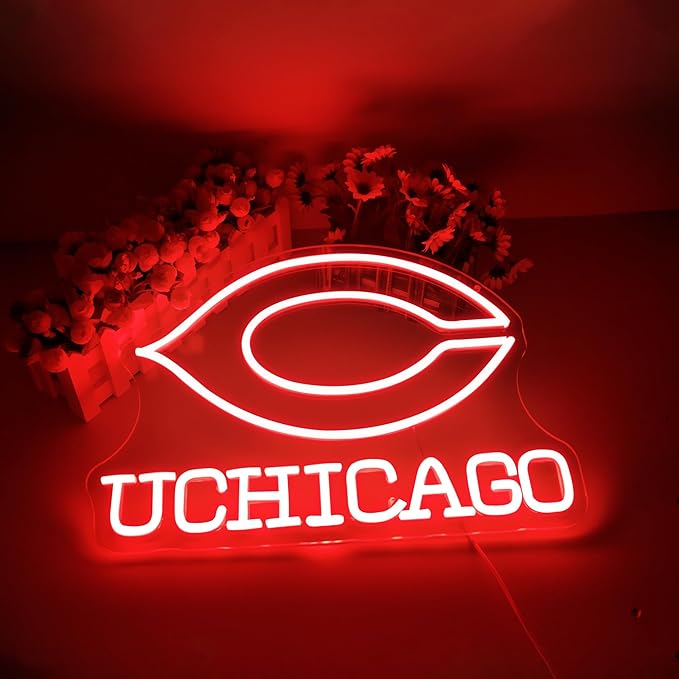 University Neon Signs,College LED Sign,University Basketball Neon Signs,College Name Signs for Man Cave,Room,Dorm Decor for College Students,Sport Fans,Size 16.53 * 11.61in(XD110)