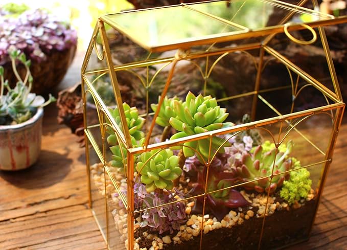 Glass Geometric Plant Terrarium,Succulent & Air Planter for Home Garden Office Decoration (Gold House)