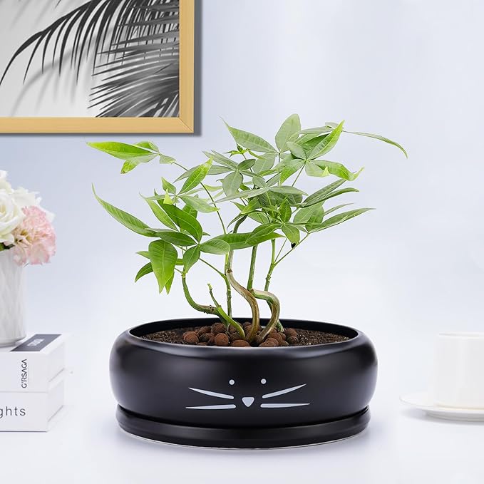 Koolkatkoo 8 Inch Cat Ceramic Succulent Planter Pot with Drainage Hole and Tray Flower Pot for Indoor and Outdoor Plants Round Shallow Planter Gifts for Cat Lovers Black