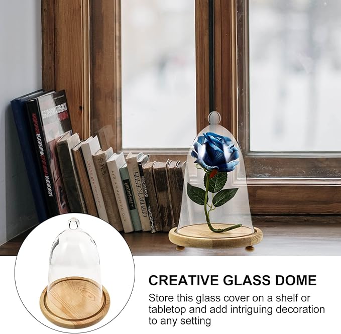 EXCEART Clear Glass Dome Cloche with Rustic Wooden Base Antique Bell Jar Display Dome for Plants Succulents Fairy Lights Photos Medals Decorative Fill and More Light Brown