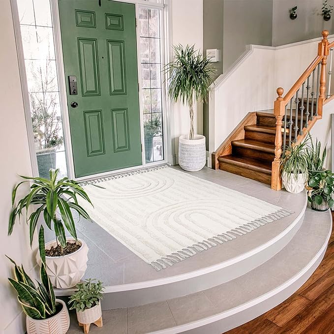 LEEVAN Boho Rainbow Area Rug Floor Carpet 3x5 ft, Farmhouse Rugs Runner Washable Woven Living Room Rug Bohemian Bathroom Throw Rug Indoor Outdoor Geometric Kitchen/Hallway/Bedroom/Porch/Laundry Room