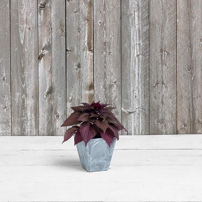 Novelty ArtStone 35060 Ella Square Planter, 6-Inch, Grey