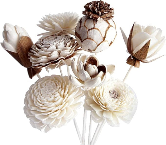 8 Mixed Sola Flower Reed Diffuser by Plawanature.