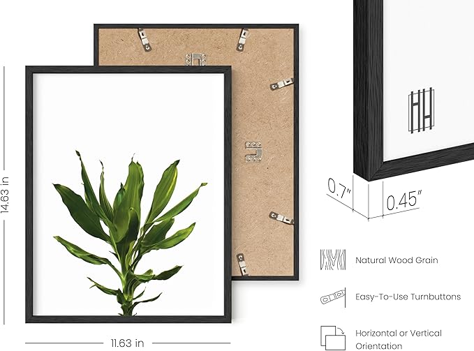 HAUS AND HUES Plant Wall Art - Set of 4 Plant Pictures Wall Art and Green Wall Art Collection, Botanical Prints, Sage Green Leaves Paintings For Wall, Minimalist Wall Art (Black Frame, 11x14)