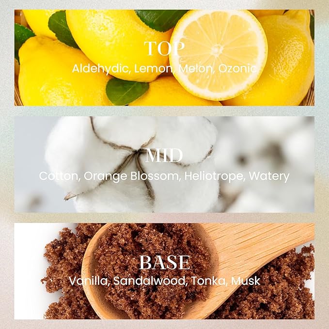 M&SENSE 10.14 oz Large Reed Diffuser | SEA Island Cotton Scent Oil Diffuser with Sticks |Long Lasting Non-Toxic Essential Oil |Reed Diffuser for Bathroom Shelf Decor