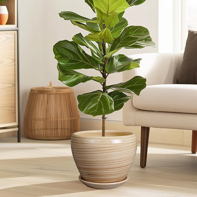 Planter 8 Inch - Indoor/Outdoor Ceramic Plant Pot With Drainage Hole and Saucer, Round Modern Flower Planter for Succulents, House, Patio - Yellow