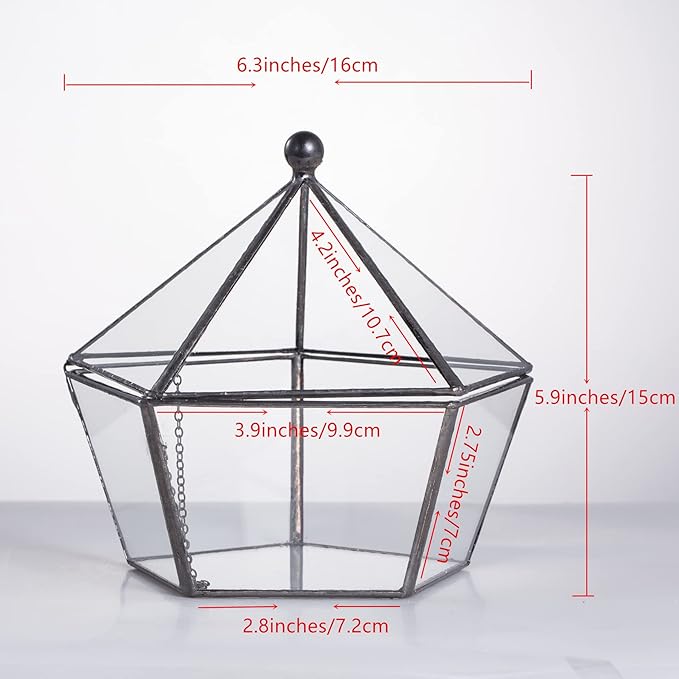 NCYP Modern Clear Glass Jewelry Box with Swing Lid, Geometric Pentagon Shape Terrarium for Succulent Fern, Garden Display Planter Tabletop Decor Centerpiece Container (NO Plants)
