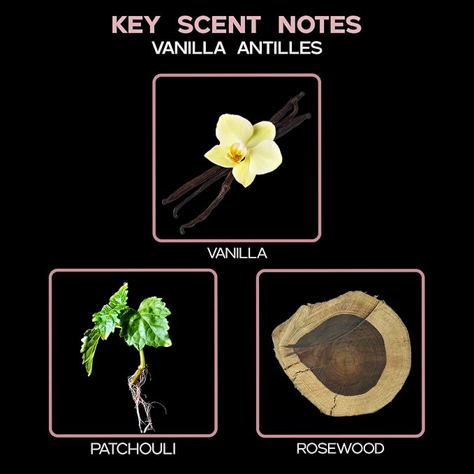 LOVSPA Vanilla Antilles Reed Diffuser Set - Vanilla Absolute & Patchouli Scent Diffuser for Home - Non-Toxic Oil Reed Diffuser - Made in The USA