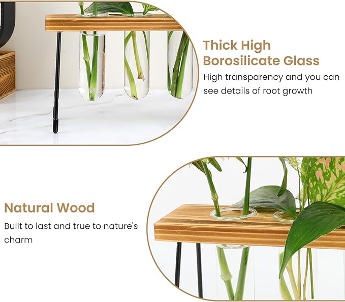 Plant Propagation Station, Glass Terrarium, Ideal for Cuttings and Flower Stems, Perfect Home & Office Decor, Great Gift for Plant Lovers