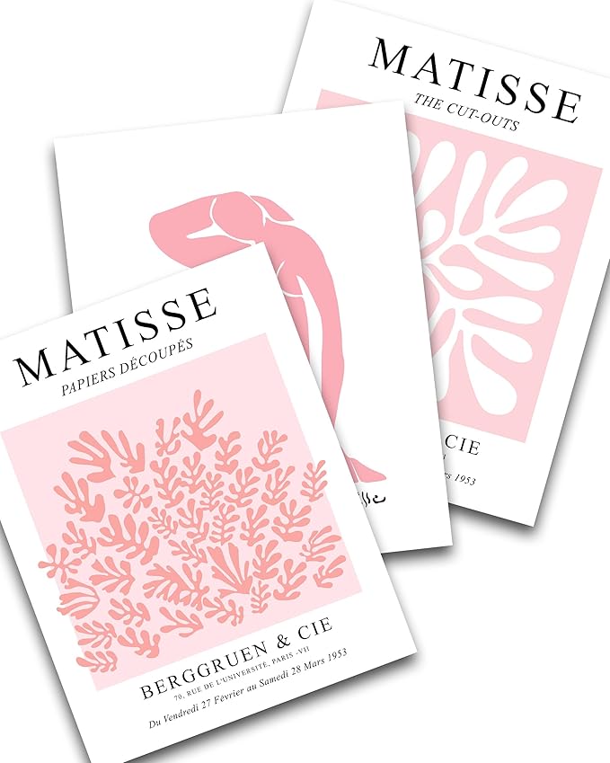 HesenDot Matisse Art wall Décor Set of 3,Unframed Blush & Salmon Pink wall art,Truly Quality Canvas Prints for 11x14in,Art poster decoration for kitchen, bathroom,living room,bedroom