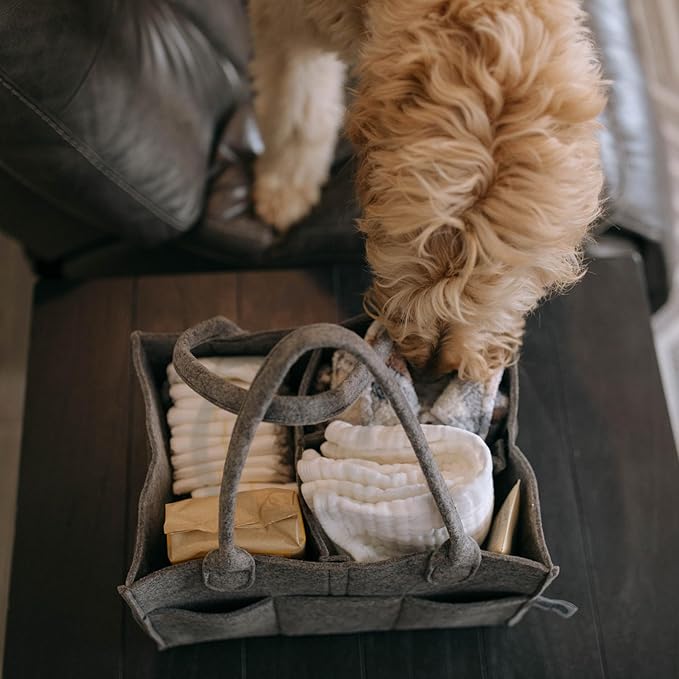 Parker Baby Diaper Caddy - Nursery Storage Bin and Car Organizer for Diapers and Baby Wipes (Peppercorn, Regular)
