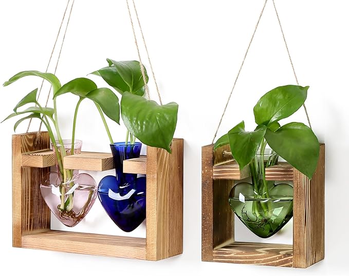 2+1 Plant Terrarium Plant Propagation Station Birthday Gifts for Women Plant Lovers Home Office Decor with Wooden Stand