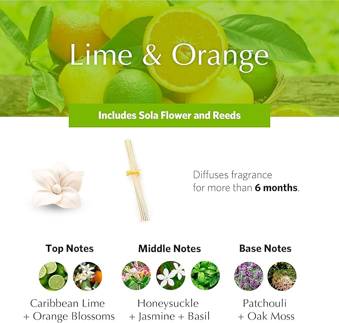 AGRARIA PetiteEssence Flower and Reed Diffuser Set, Hand Crafted Sola Flower Botanical Home Fragrance Diffuser, Scented Oil Reed Diffuser, Flower and Reed Diffuser Gift Set for All Occasions