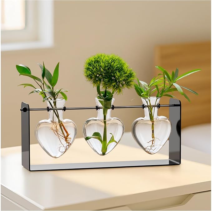 Rossny Metal Plant Propagation Station with 3 Clear Glass Vases - Desktop Plant Terrariums for Herbs, Ideal for Modern Home Office Garden Planter Decor, Gift for Plant Lovers, Black