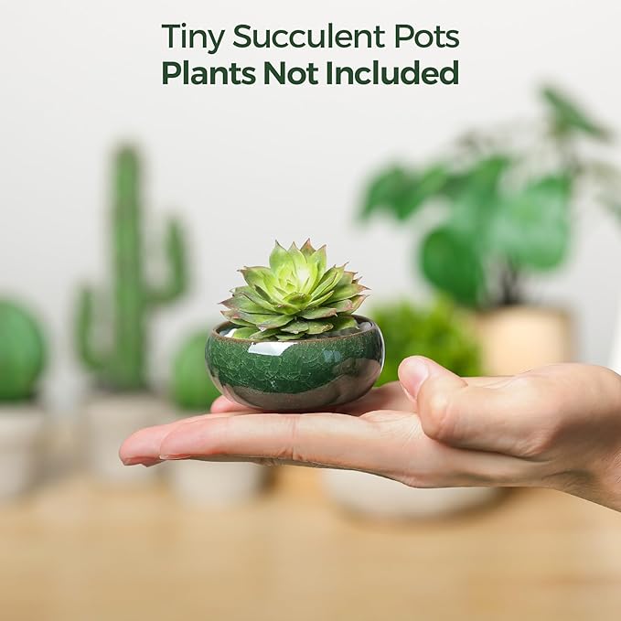 T4U 2.5 Inch Small Ceramic Succulent Planter Pot with Drainage Hole Set of 12, Ice Crack Glaze Plant Container for Cactus, Plant Lover Gifts for Women Mom Aunt Home Office Decor