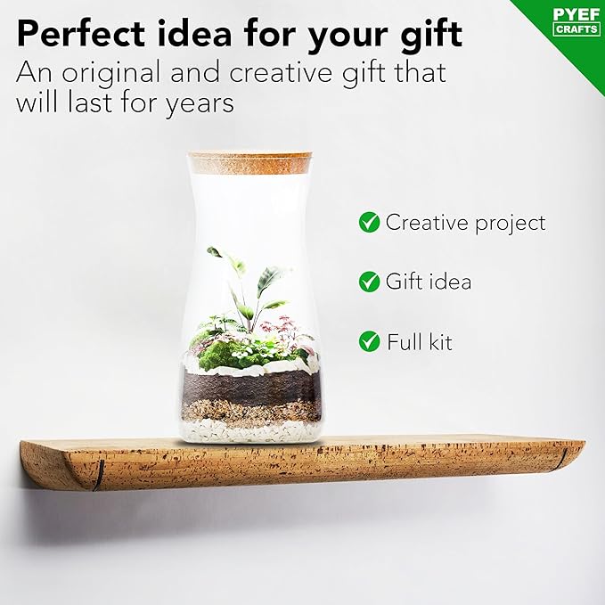 DIY Terrarium Kit for Adults – Build Your Own Self‑Sustaining Closed Ecosystem – 34 fl oz (1‑Liter) Glass Terrarium – Succulents, Air Plants, Fittonia, Fern – Plants Not Included