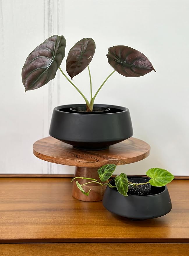 Admired by Nature Set of 6.5" & 9.5" Ceramic Flower Planters, Ceramic Pot Planter, Plant Pots Indoor Ceramic, Houseplant Ceramic Pot, Decorative Planter for Indoor Succulent Plant Home Décor, Black