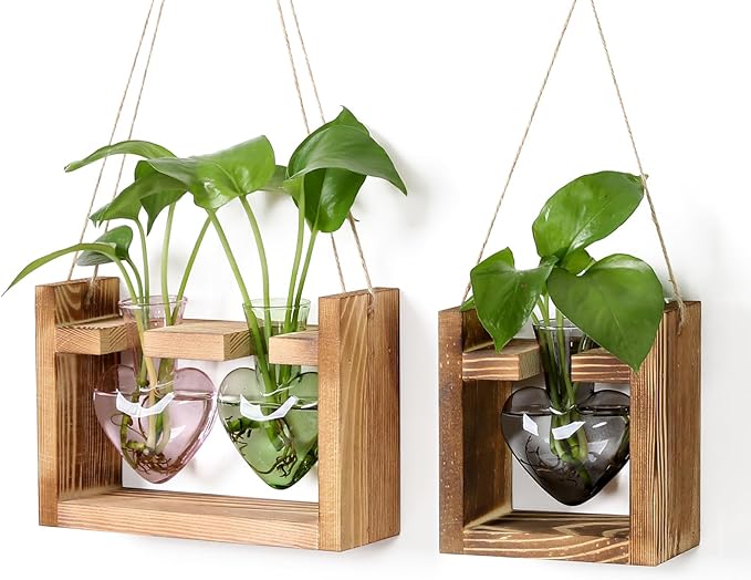 2+1 Plant Terrarium Plant Propagation Station Birthday Gifts for Women Plant Lovers Home Office Decor with Wooden Stand