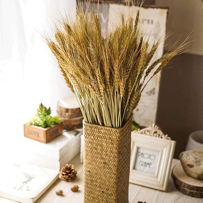 100 Pcs Dried Wheat Sheaves Bundle Golden Natural Wheat Bouquet Bunch Dried Flowers Arrangement for Fall Farmhouse DIY Design Home Table Wedding Party Centerpieces Decor (16")