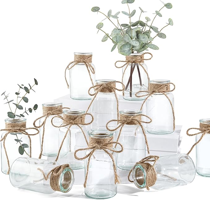 Glass Flower Vases for Centerpieces, 12Pcs Vintage Small Clear Bud Vase for Flowers Mini Crystal Decorative Bottle with Hemp Rope Bows for Housewarming Wedding Birthday Tabletop Decoration