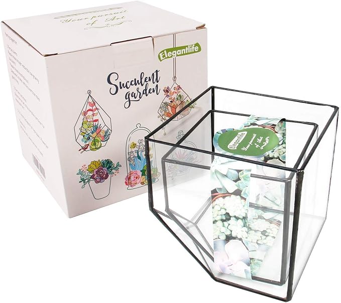 Glass Geometric Plant Terrarium Container, Flower Pot Tabletop Planter Decor Glass Display Box Succulent & Air Planter for Home Garden Office Decoration(Black Cubic Set of 2)