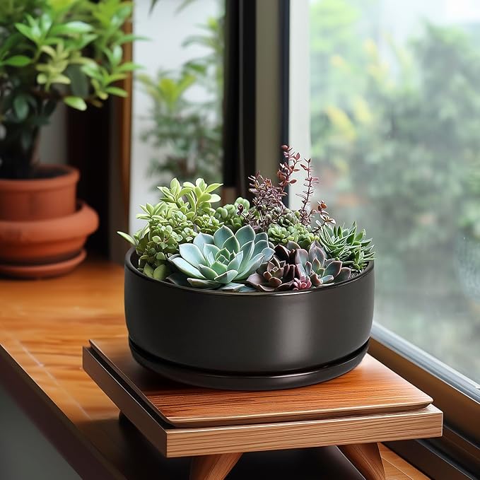 SQOWL Bonsai Pots - 8 Inch Ceramic Plant Pots for Succulents, Round Indoor Planter with Drainage Hole and Saucer, Shallow Modern Planter Bowl, Room Decor, Black