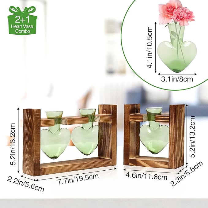 2+1 Plant Terrarium Plant Propagation Station Birthday Gifts for Women Plant Lovers Home Office Decor with Wooden Stand