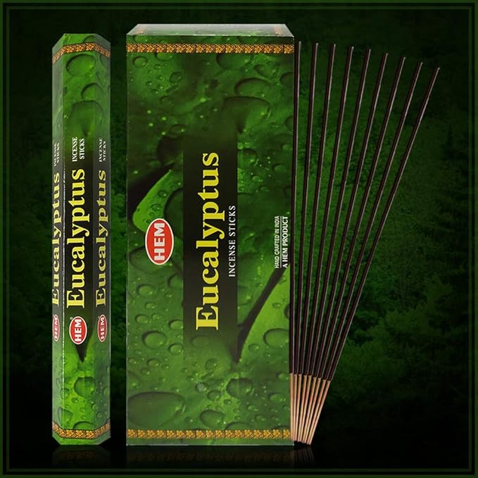 Eucalyptus Incense Sticks and Incense Stick Holder Bundle Insence Insense Hem Incense Sticks