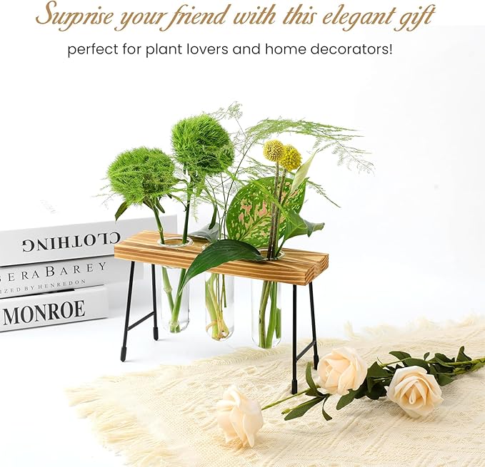 Plant Propagation Station, Glass Terrarium, Ideal for Cuttings and Flower Stems, Perfect Home & Office Decor, Great Gift for Plant Lovers