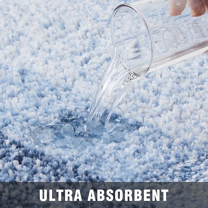 TECHMILLY Super Soft Shaggy Bathroom Rugs, Absorbent Thick Non Slip Microfiber Bath Rugs, Quick Dry Machine Washable Bath Mat for Bathroom Floor, Bathtub and Shower 17"x24"
