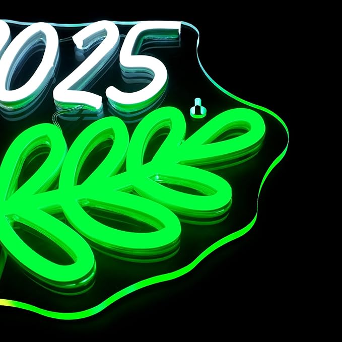 Lucunstar Hello 2025 Neon Sign,Neon Sign 2025,Led Neon Light for Wall Decor,Light Up Sign for Bedroom Decor,Dimmable Switch USB Connectivity Neon Signs for Holiday Party Light,Festival Celebration